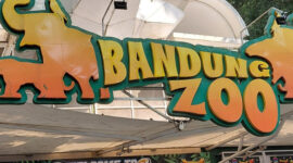 Mulai Dirapikan: Pemkot Bandung Tertibkan Area Bandung Zoo, Warung dan Parkir Kena Peringatan