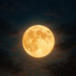 Bulan (Ilustrasi Freepik)