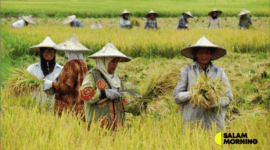 hari tani nasional 2025