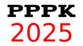Pengumuman Resmi! Kapan SK PPPK Paruh Waktu 2025 Cair?