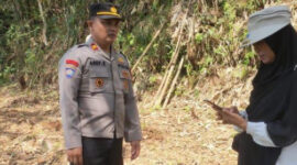 Polsek Cikoneng Ikut Cek Lahan Jagung Sukaraja Demi Ketahanan Pangan