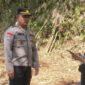 Polsek Cikoneng Ikut Cek Lahan Jagung Sukaraja Demi Ketahanan Pangan
