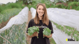 Kisah Amanda Cole di Balik Sukses Sayurbox