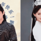 The Immortal Ascension wuxia