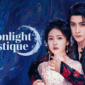 Moonlight Mystique