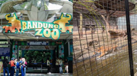 Pemkot Bandung Tegaskan Kebun Binatang Harus Beri Manfaat bagi PAD