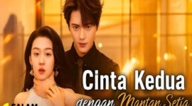 Sinopsis Cinta Kedua Dengan Mantan Setia Drama China