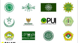 Kontroversi Badan Islam Nasional Indonesia Soal Regulasi Medsos Anak
