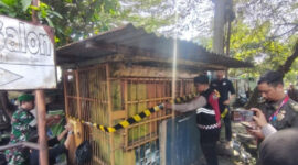 Miras dan Obat Ilegal Kios Pinggir Jalan Disikat, Satpol PP Bandung Sita 1.303 Pil