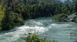 Sungai Ombilin di Sumbar Tetap Membiru Usai Banjir, Warga Terkesima